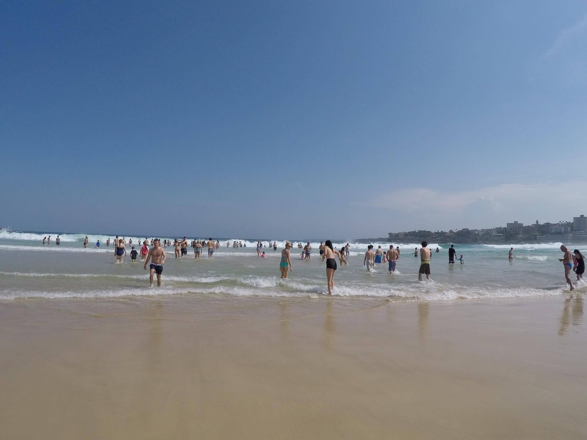 15216169_1210401405701816_1525419562_o