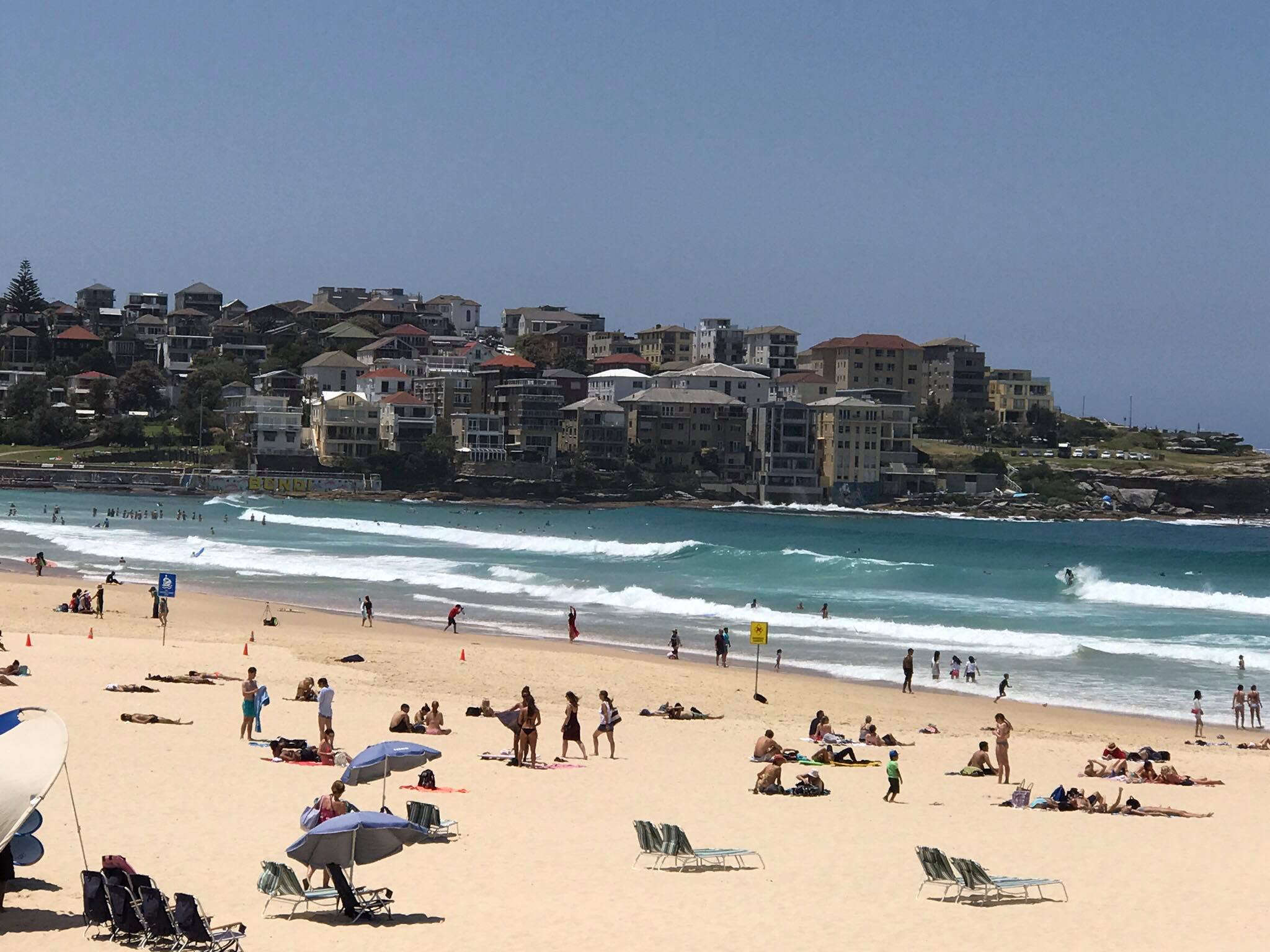 15225398_1210399785701978_891349904_o