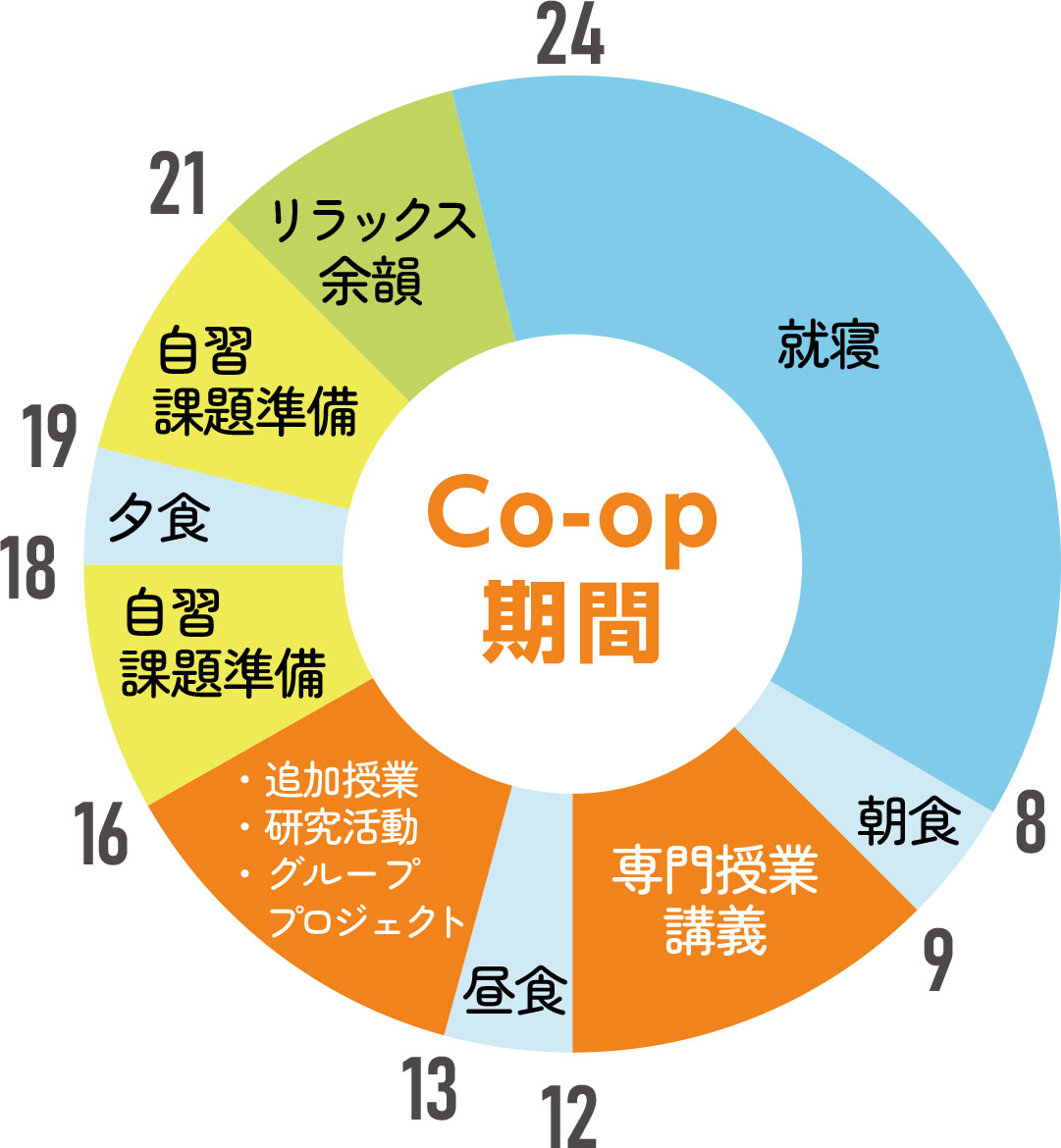 基本的なCoop留学就労スケジュール